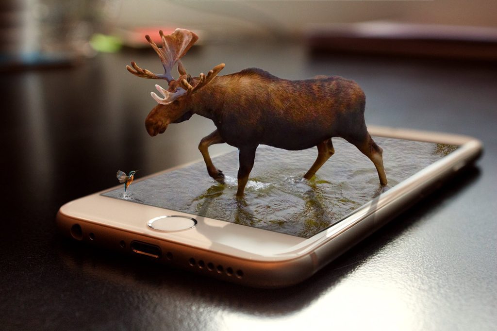 Una pantalla de celular y de ahi salen dos animales